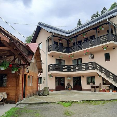 Lip Si Ely Hotel Dâmbovicioara Exterior photo