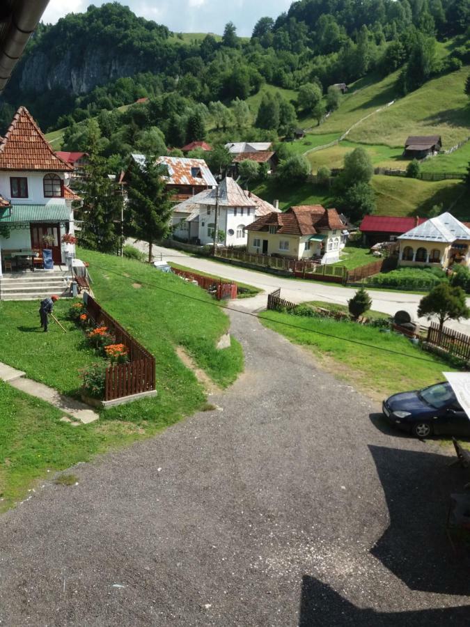 Lip Si Ely Hotel Dâmbovicioara Exterior photo