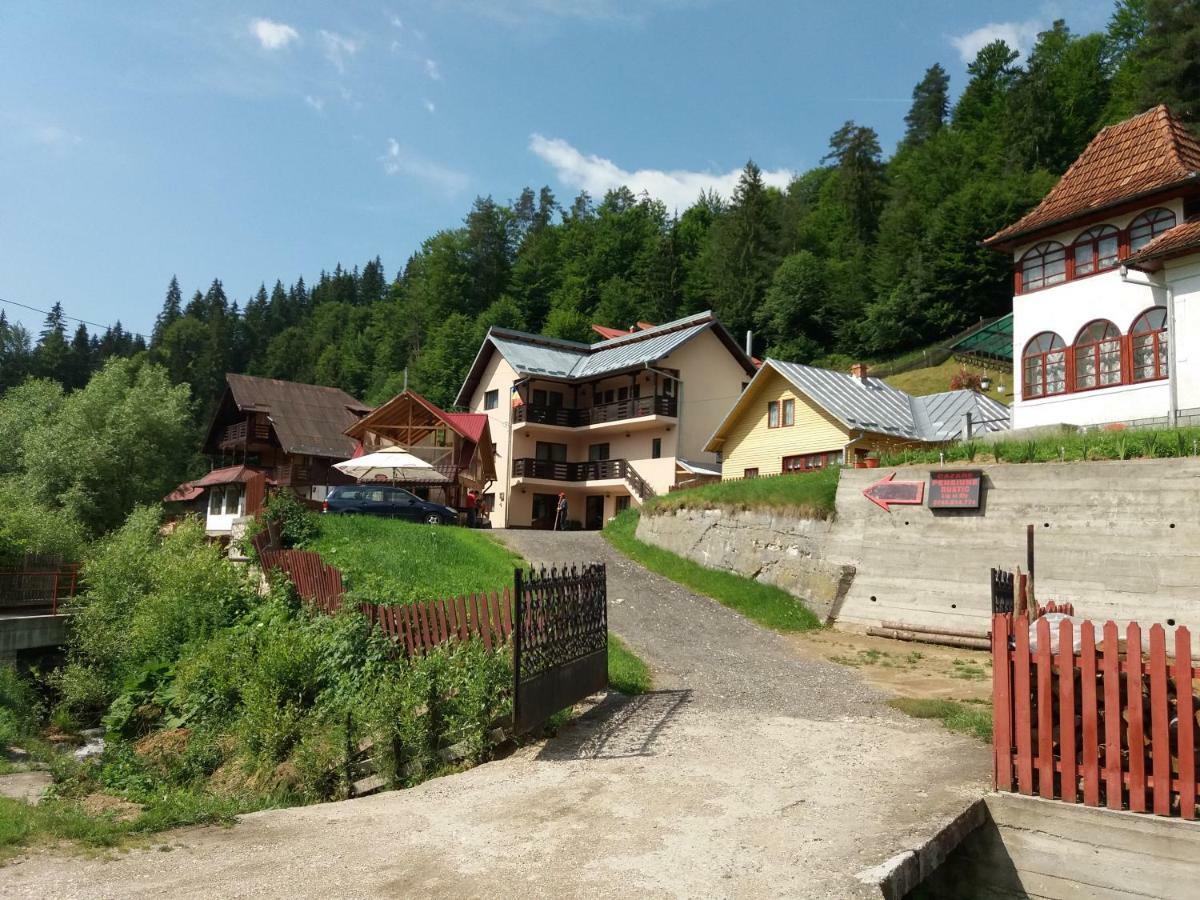 Lip Si Ely Hotel Dâmbovicioara Exterior photo